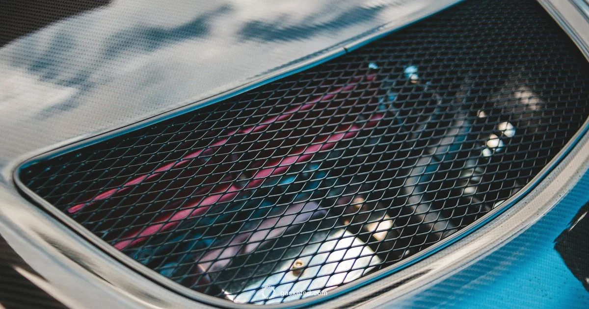 MLS vs Graphite Gaskets - Gasketed