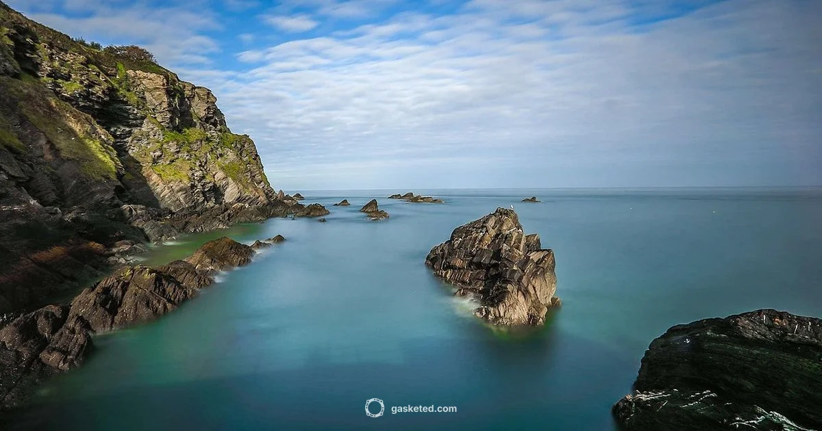 Seal Definition - Gasketed