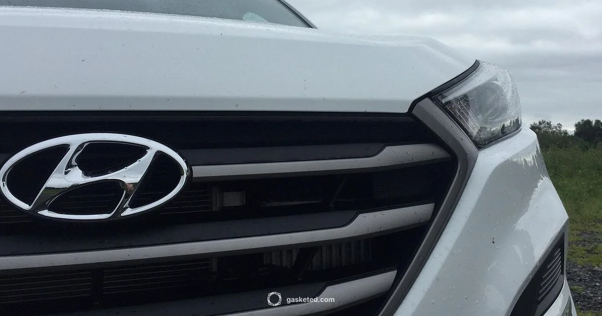 Gasket Cost Guide - Gasketed