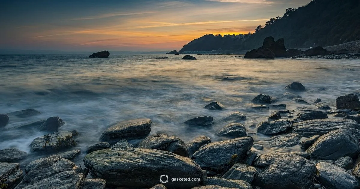 Seal Type Guide Seal Type Guide - Gasketed