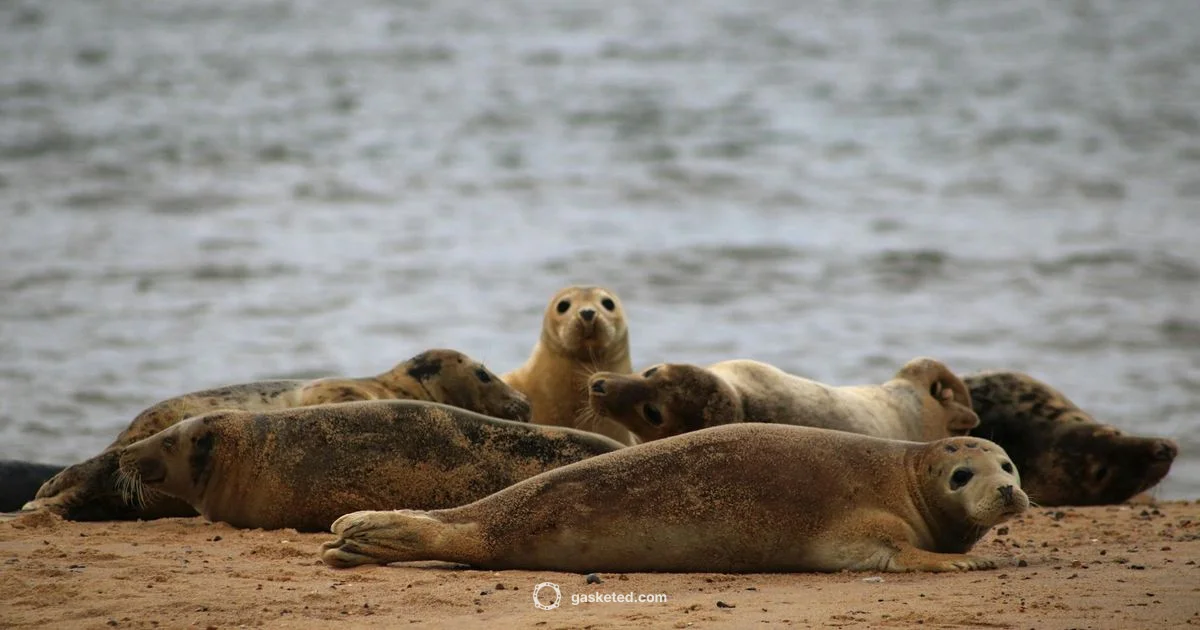 Seal Coating Basics Seal Coating Basics - Gasketed