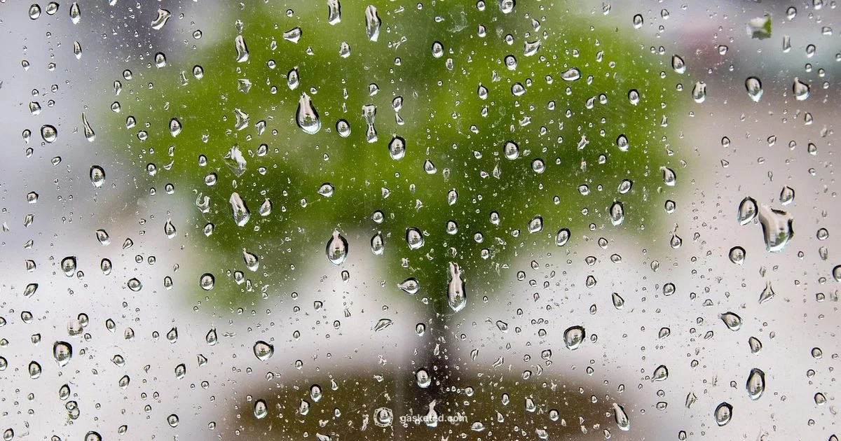 Window Gasket Guide - Gasketed