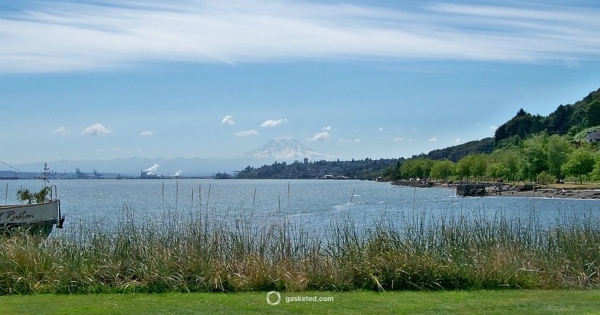 Tacoma Pump Gasket - Gasketed