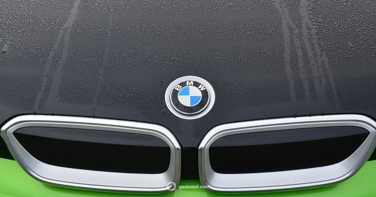 Head Gasket Guide Head Gasket Guide - Gasketed