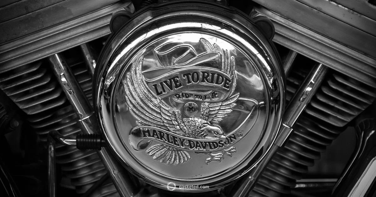 Valve Cover Sealer Picks - Gasketed