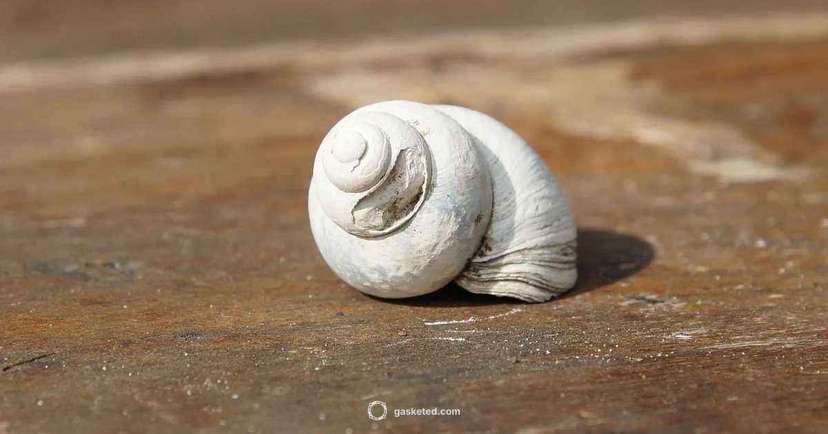 Door Seal Guide Door Seal Guide - Gasketed