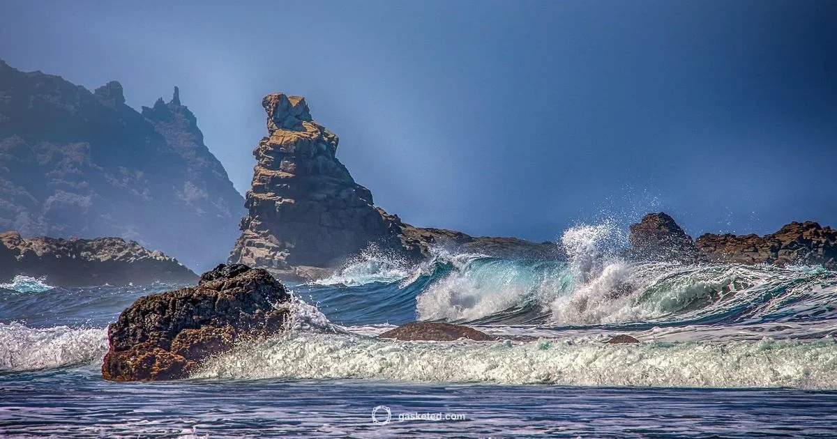 Seal or Sea Lion Guide Seal or Sea Lion Guide - Gasketed