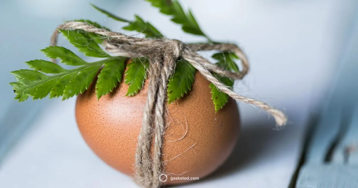 Gasket Cleaning Guide - Gasketed