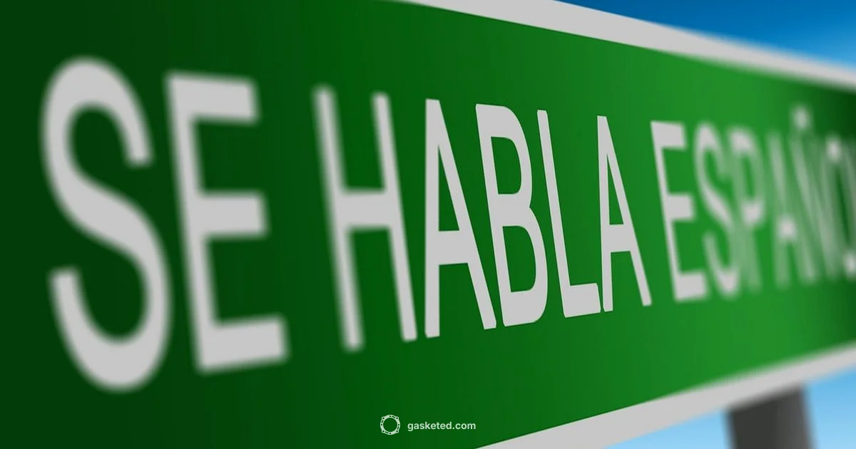 Gasket Translation - Gasketed