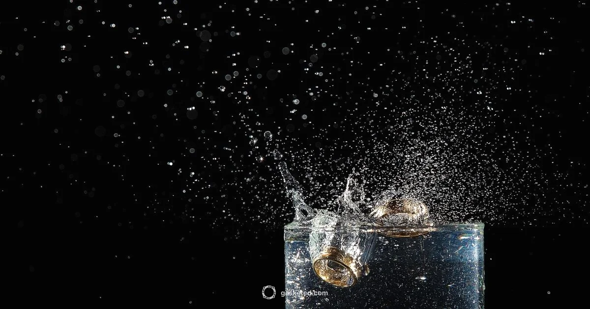 O Ring Guide O Ring Guide - Gasketed