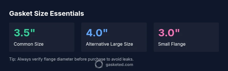 Infographic showing common toilet gasket sizes