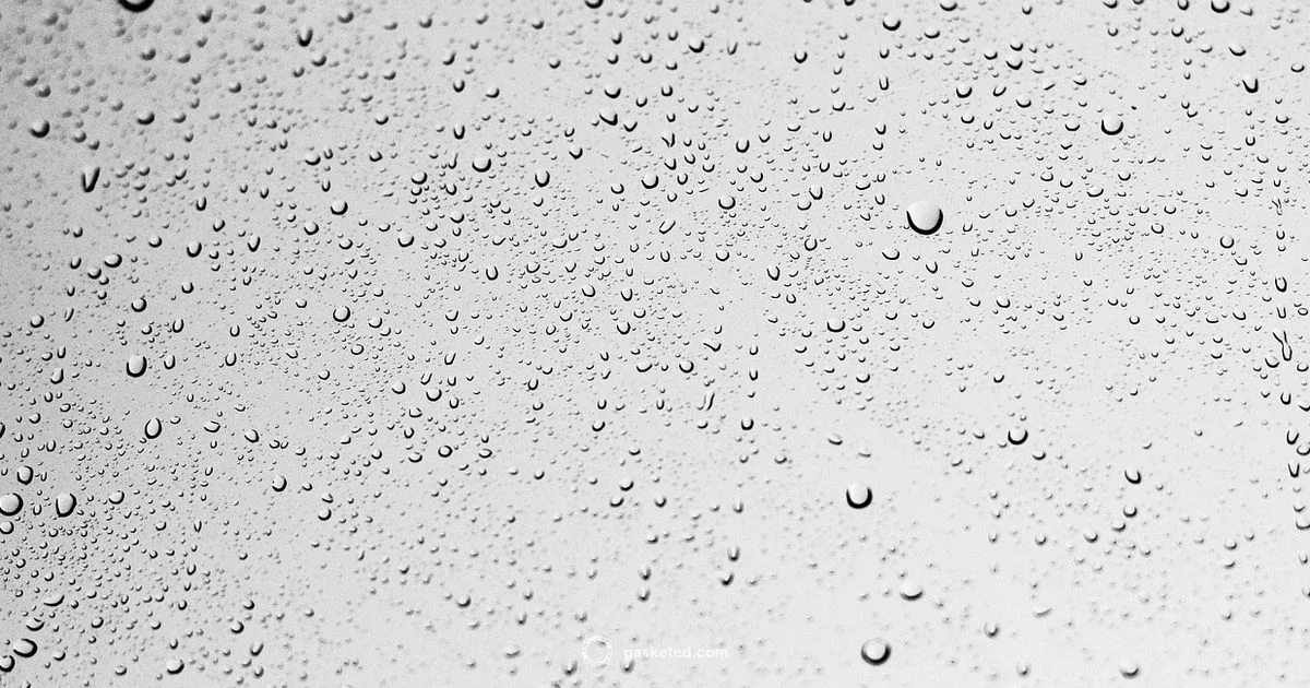 Window Gasket Guide Window Gasket Guide - Gasketed