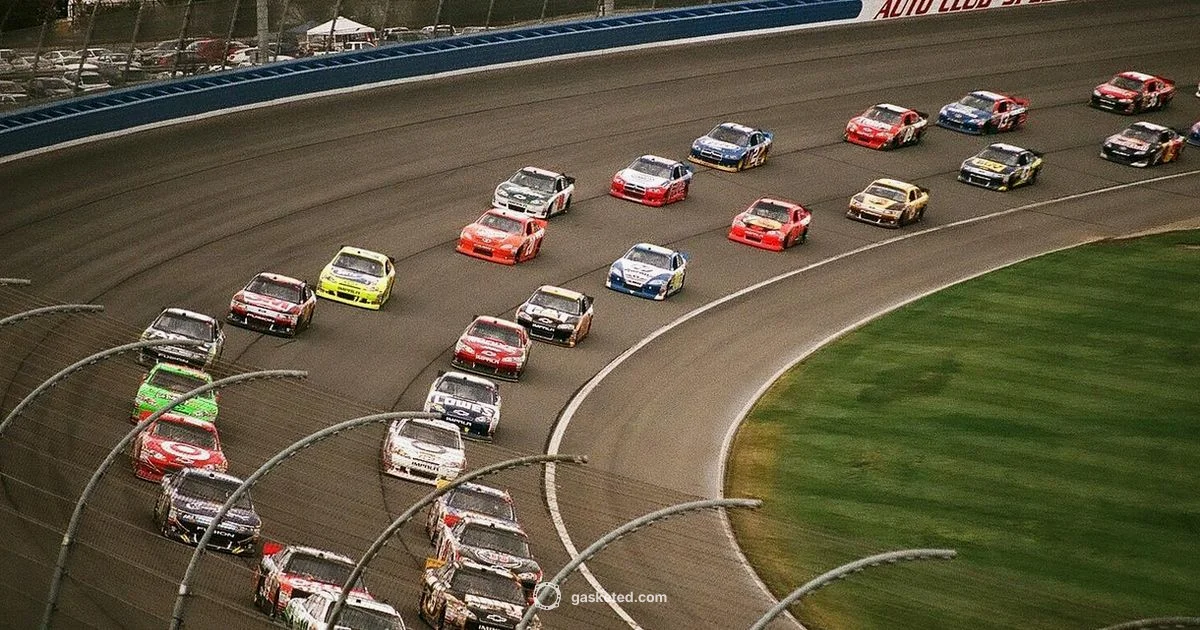 Blown Head Gasket Blown Head Gasket - Gasketed