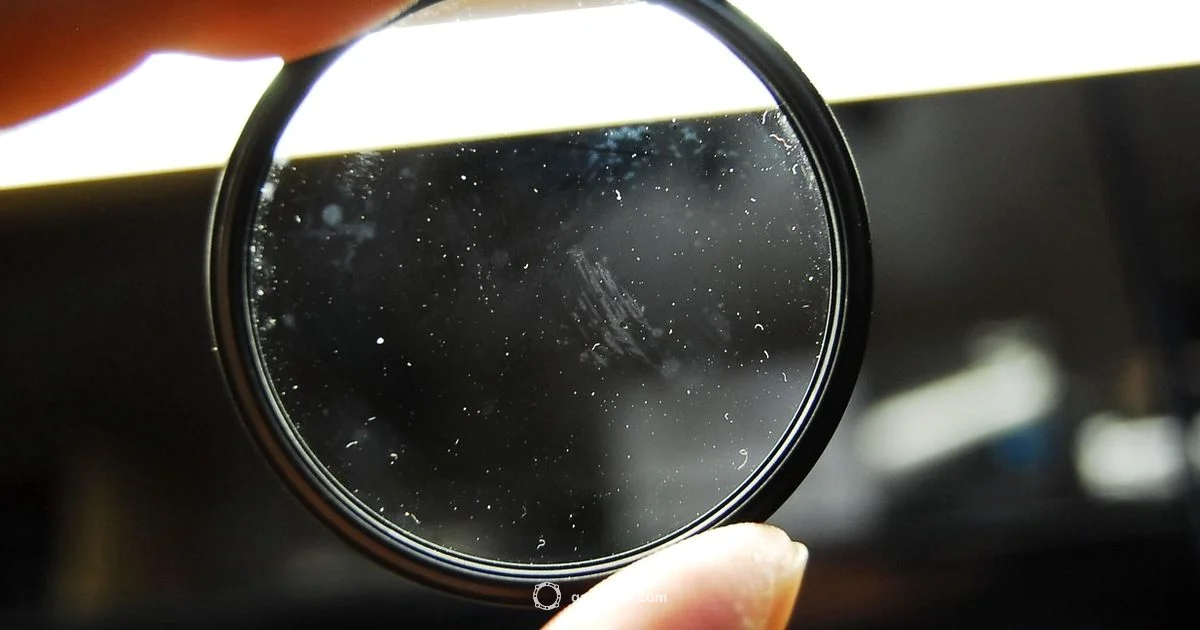 Moldy Washer Gasket Moldy Washer Gasket - Gasketed