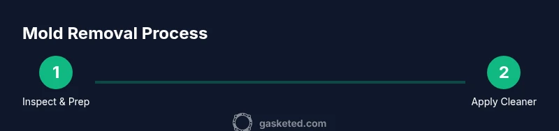 Process infographic for removing mold from washer gasket